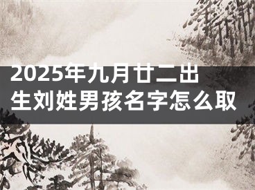 2025年九月廿二出生刘姓男孩名字怎么取