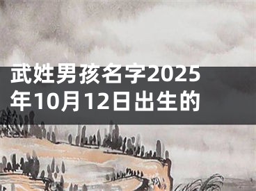 武姓男孩名字2025年10月12日出生的