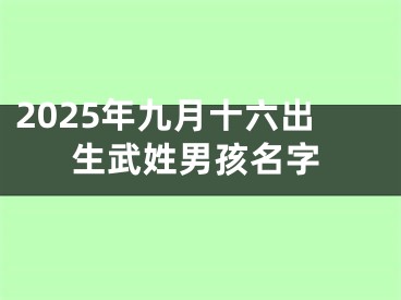 2025年九月十六出生武姓男孩名字