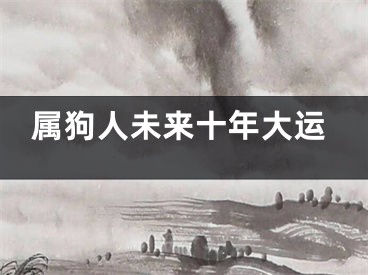 属狗人未来十年大运