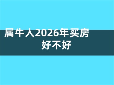 属牛人2026年买房好不好