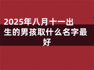 2025年八月十一出生的男孩取什么名字最好