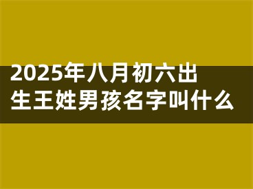 2025年八月初六出生王姓男孩名字叫什么