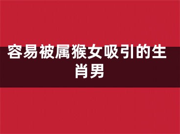 容易被属猴女吸引的生肖男