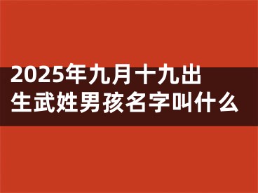 2025年九月十九出生武姓男孩名字叫什么