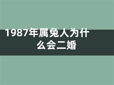 1987年属兔人为什么会二婚