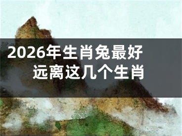 2026年生肖兔最好远离这几个生肖