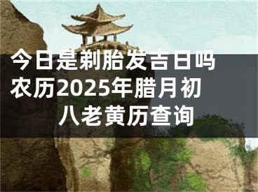 今日是剃胎发吉日吗 农历2025年腊月初八老黄历查询