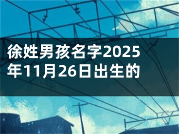 徐姓男孩名字2025年11月26日出生的