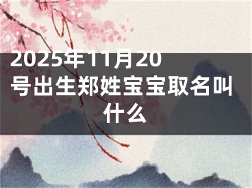 2025年11月20号出生郑姓宝宝取名叫什么