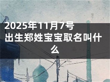 2025年11月7号出生郑姓宝宝取名叫什么