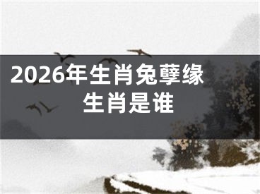 2026年生肖兔孽缘生肖是谁