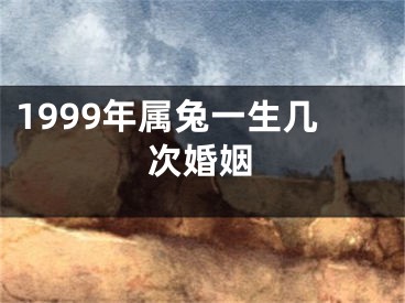 1999年属兔一生几次婚姻