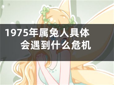 1975年属兔人具体会遇到什么危机