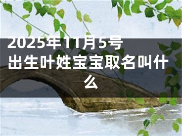 2025年11月5号出生叶姓宝宝取名叫什么