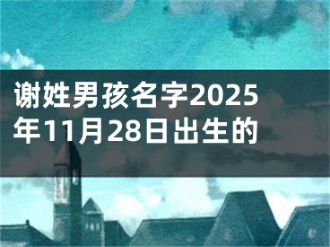 谢姓男孩名字2025年11月28日出生的