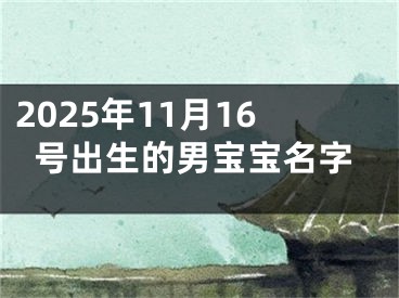 2025年11月16号出生的男宝宝名字