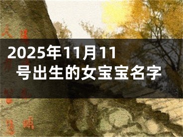 2025年11月11号出生的女宝宝名字