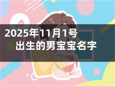 2025年11月1号出生的男宝宝名字