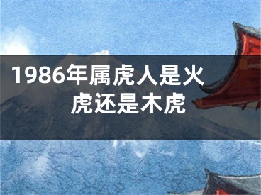 1986年属虎人是火虎还是木虎