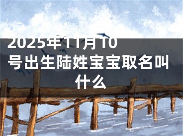 2025年11月10号出生陆姓宝宝取名叫什么