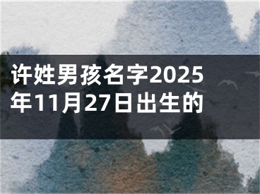 许姓男孩名字2025年11月27日出生的