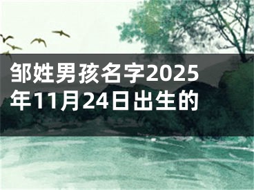 邹姓男孩名字2025年11月24日出生的