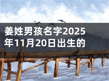 姜姓男孩名字2025年11月20日出生的