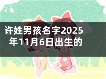 许姓男孩名字2025年11月6日出生的