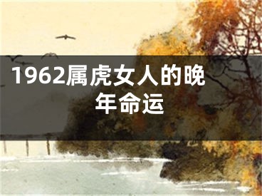 1962属虎女人的晚年命运