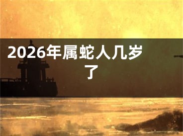 2026年属蛇人几岁了