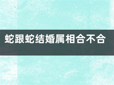 蛇跟蛇结婚属相合不合