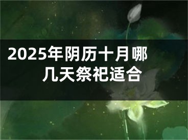 2025年阴历十月哪几天祭祀适合