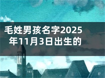 毛姓男孩名字2025年11月3日出生的