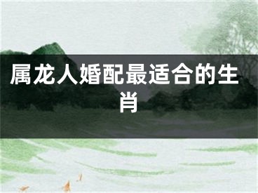 属龙人婚配最适合的生肖