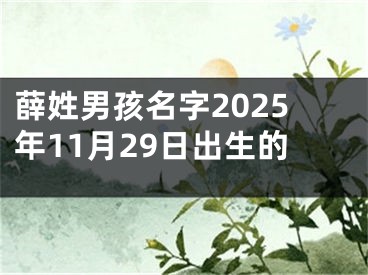 薛姓男孩名字2025年11月29日出生的