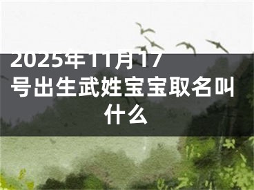 2025年11月17号出生武姓宝宝取名叫什么