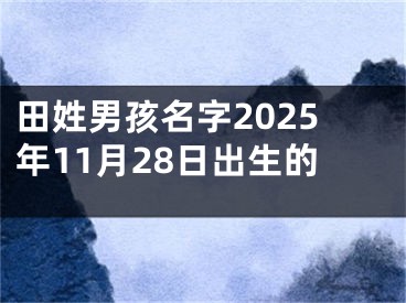 田姓男孩名字2025年11月28日出生的