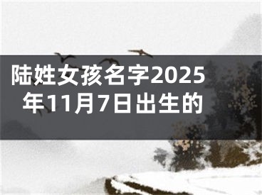 陆姓女孩名字2025年11月7日出生的