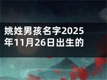 姚姓男孩名字2025年11月26日出生的
