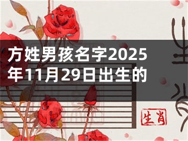 方姓男孩名字2025年11月29日出生的