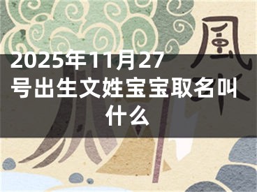 2025年11月27号出生文姓宝宝取名叫什么