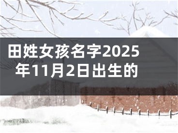 田姓女孩名字2025年11月2日出生的