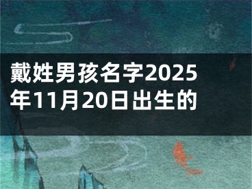 戴姓男孩名字2025年11月20日出生的