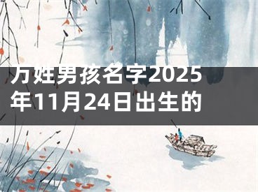 万姓男孩名字2025年11月24日出生的