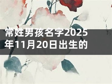 常姓男孩名字2025年11月20日出生的