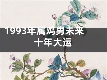 1993年属鸡男未来十年大运
