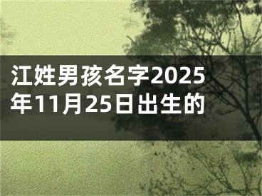 江姓男孩名字2025年11月25日出生的