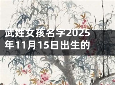 武姓女孩名字2025年11月15日出生的