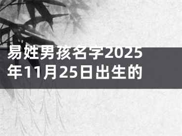 易姓男孩名字2025年11月25日出生的